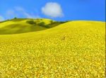 Pushing_Daisies_1x01_001.jpg