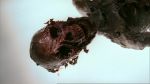 Filename=Bones_1x12_030.jpg
Filesize=156KB
Dimensions=1280x720
Date added=Jul 08, 2007 Bones_1x12_030.jpg