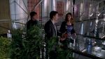 Filename=Bones_1x12_345.jpg
Filesize=218KB
Dimensions=1280x720
Date added=Jul 08, 2007 Bones_1x12_345.jpg