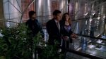 Filename=Bones_1x12_346.jpg
Filesize=206KB
Dimensions=1280x720
Date added=Jul 08, 2007 Bones_1x12_346.jpg