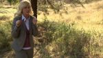 Filename=Parks_and_Recreation_1x04_00005.jpg
Filesize=585KB
Dimensions=1280x720
Date added=Jan 10, 2010 Parks_and_Recreation_1x04_00005.jpg